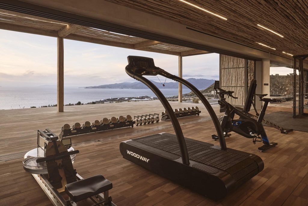 luxury gym 2 3